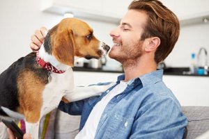 pet therapy addiction treatment pet therapy program