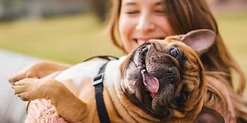 pet therapy benefits