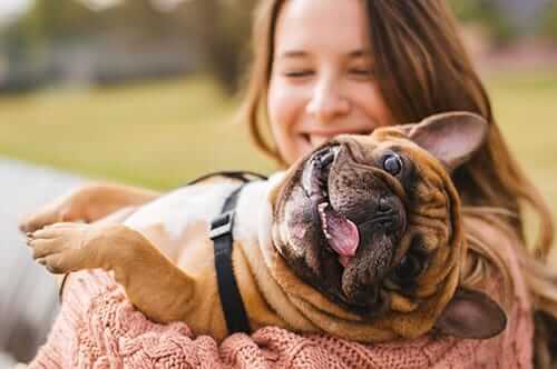 pet therapy benefits pet therapy benefits